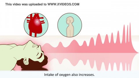 The male orgasm explained