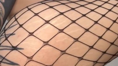 morgue kitty tik tok porno